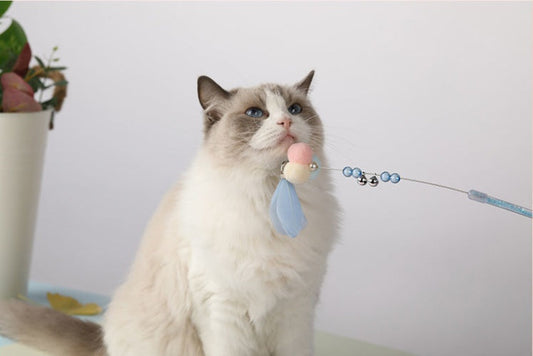 HKM-2010429 Colorful Flexible Cat Teaser Stick Set – Environmentally Friendly, Bite-Resistant Toys for Cats (Pack of 3)