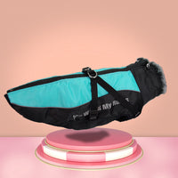 HKM-2011581 Medium-Sized Dog Winter Coat in Meteorite Lime Glare Blue for Labradors, Oxford Windproof Fabric, Various Sizes Available