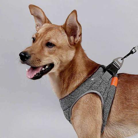 HKM-2014653 Adjustable Dog Rope Collar in Hemp Gray - Easy Attach Carabiner, Available in XS, S, M