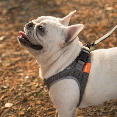 HKM-2014653 Adjustable Dog Rope Collar in Hemp Gray - Easy Attach Carabiner, Available in XS, S, M