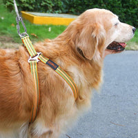 HKM-2015165 Durable Stainless Steel Wire Rope Dog Leash - Available in Multiple Lengths