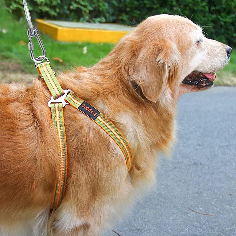 HKM-2015165 Durable Stainless Steel Wire Rope Dog Leash - Available in Multiple Lengths