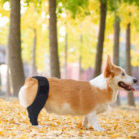 HKM-2017981 Adjustable Dog Knee Pads for Joint Recovery and Post-Surgery Support, Thigh Brace Wrap for Injury Protection