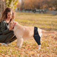 HKM-2017981 Adjustable Dog Knee Pads for Joint Recovery and Post-Surgery Support, Thigh Brace Wrap for Injury Protection
