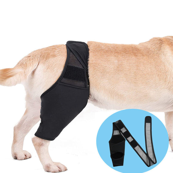 HKM-2017981 Adjustable Dog Knee Pads for Joint Recovery and Post-Surgery Support, Thigh Brace Wrap for Injury Protection