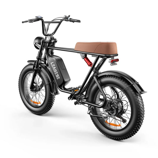 HKM-201939 Electric Mountain Bike - 1000W, 48V 20Ah Battery, 55KM/H Max Speed, 7-Speed Gears, LCD Display, Disc Brakes, High-Carbon Steel Frame