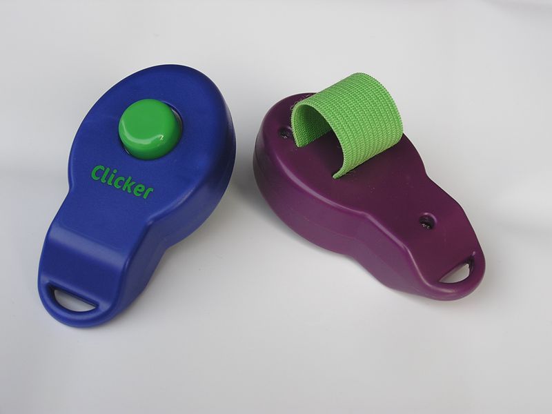 HKM-2021949 Pet Training Rattle Stick - Purple and Blue Options
