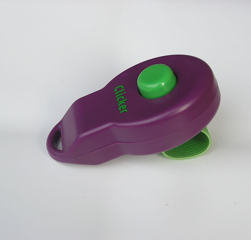 HKM-2021949 Pet Training Rattle Stick - Purple and Blue Options