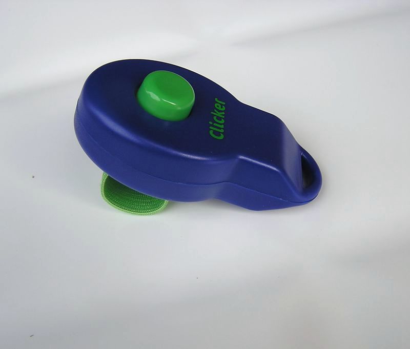 HKM-2021949 Pet Training Rattle Stick - Purple and Blue Options
