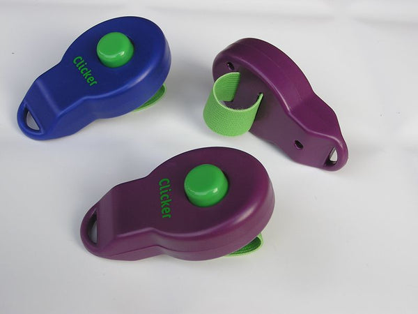 HKM-2021949 Pet Training Rattle Stick - Purple and Blue Options