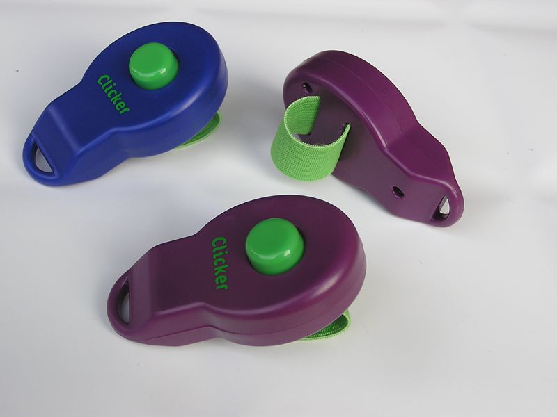 HKM-2021949 Pet Training Rattle Stick - Purple and Blue Options