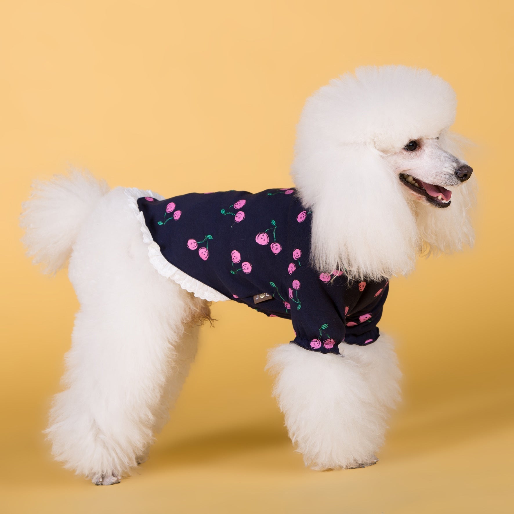 HKM-2027453 Cotton Stretch T-Shirt for Dogs in Casual Style ¨C Available in Blue and White
