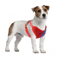 HKM-2029245 Soft Suede Vest-Style Chest Harness with Leash for Dogs