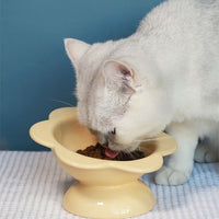 HKM-2032829 Oblique Mouth High Foot Ceramic Pet Bowl in Yellow and Purple Options