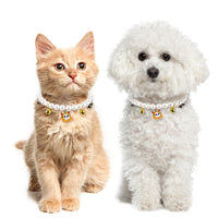 HKM-2034109 Pet Pearl Necklace Set for Halloween – Cat and Dog Neck Ornament with Bells