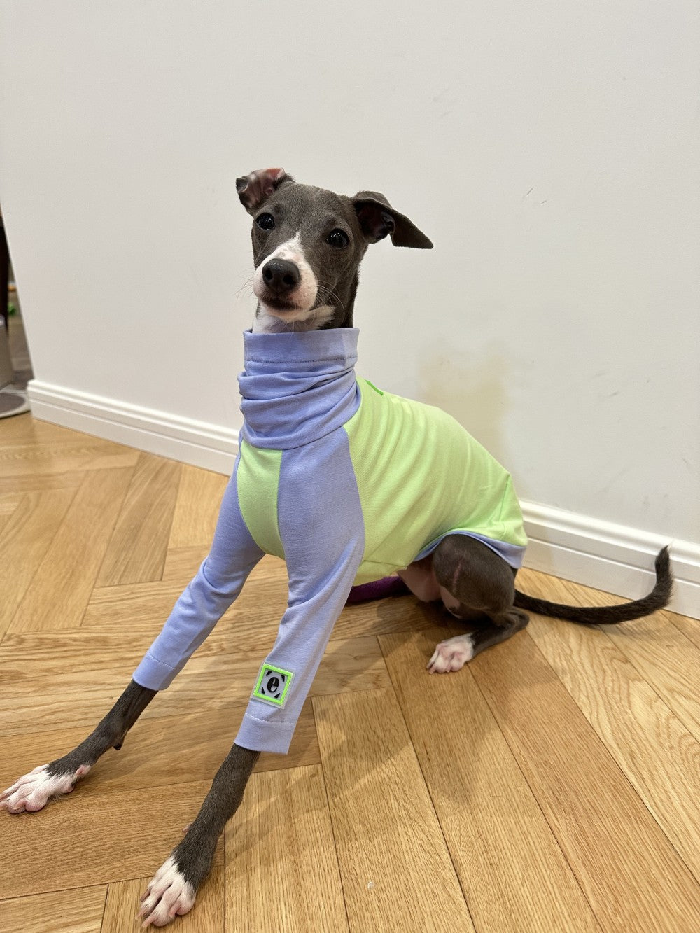 HKM-2037181 Fluorescent Green Cotton Dog Vest for Linton Terriers - Multiple Sizes Available