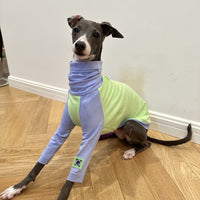 HKM-2037181 Fluorescent Green Cotton Dog Vest for Linton Terriers - Multiple Sizes Available