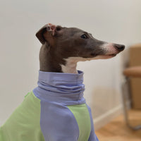 HKM-2037181 Fluorescent Green Cotton Dog Vest for Linton Terriers - Multiple Sizes Available