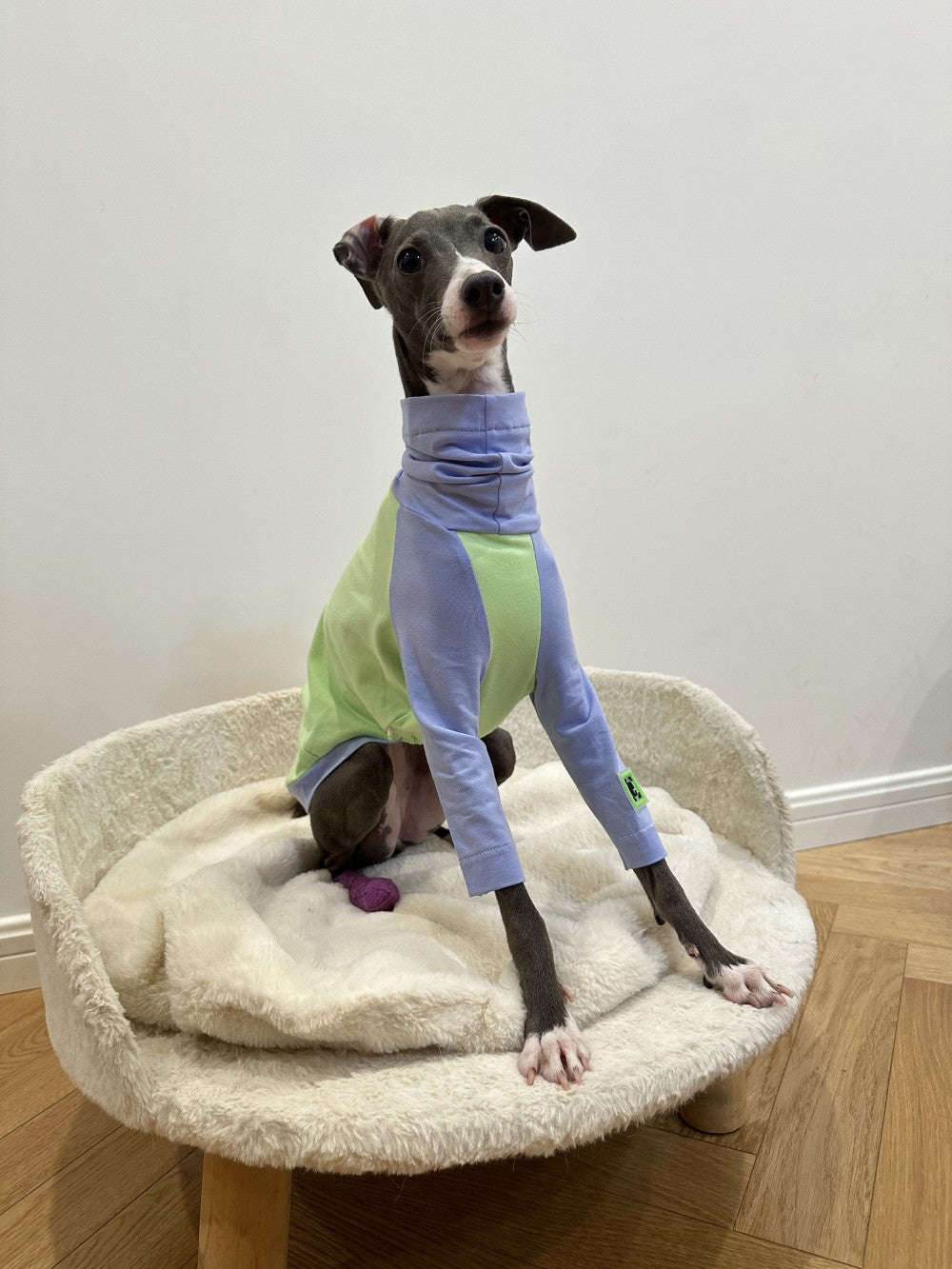 HKM-2037181 Fluorescent Green Cotton Dog Vest for Linton Terriers - Multiple Sizes Available