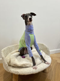 HKM-2037181 Fluorescent Green Cotton Dog Vest for Linton Terriers - Multiple Sizes Available