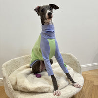 HKM-2037181 Fluorescent Green Cotton Dog Vest for Linton Terriers - Multiple Sizes Available