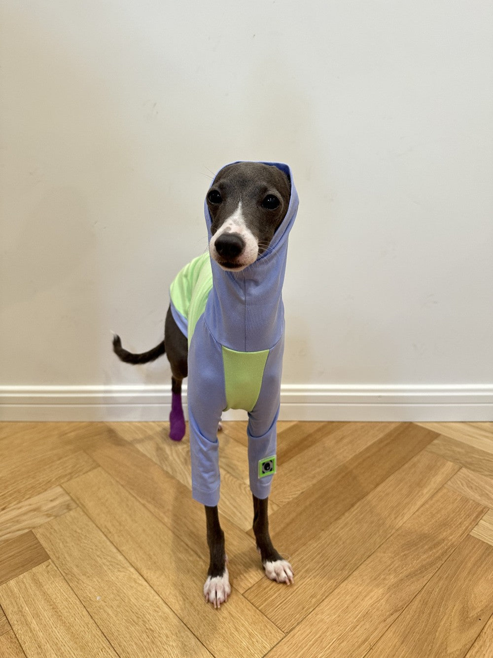HKM-2037181 Fluorescent Green Cotton Dog Vest for Linton Terriers - Multiple Sizes Available