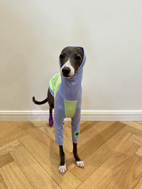HKM-2037181 Fluorescent Green Cotton Dog Vest for Linton Terriers - Multiple Sizes Available