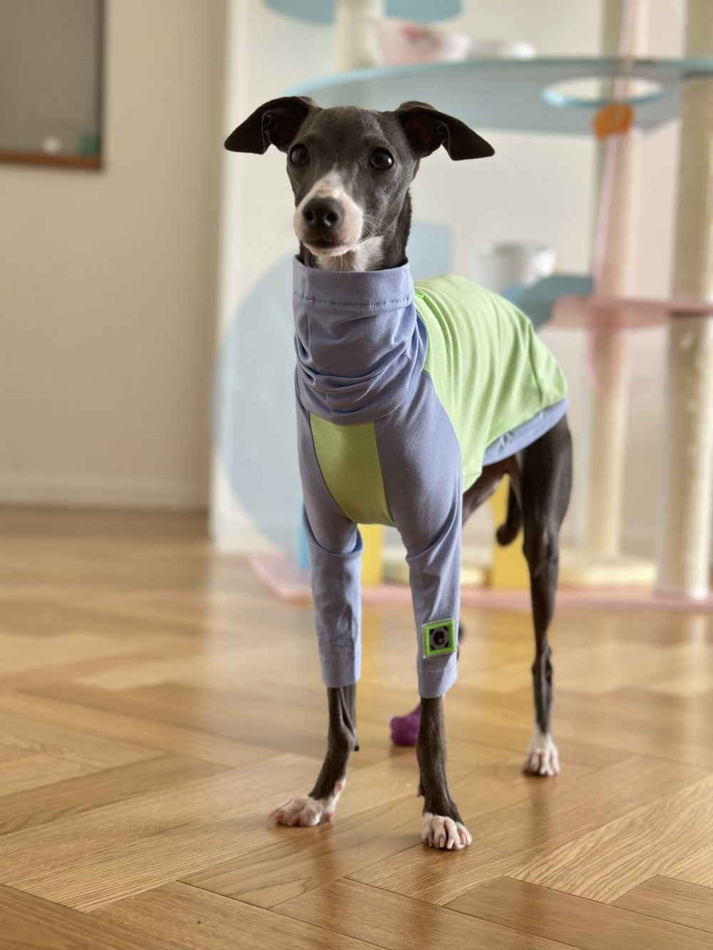 HKM-2037181 Fluorescent Green Cotton Dog Vest for Linton Terriers - Multiple Sizes Available