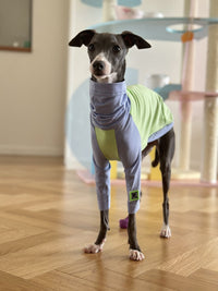 HKM-2037181 Fluorescent Green Cotton Dog Vest for Linton Terriers - Multiple Sizes Available