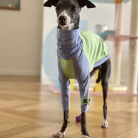 HKM-2037181 Fluorescent Green Cotton Dog Vest for Linton Terriers - Multiple Sizes Available