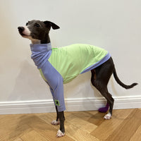 HKM-2037181 Fluorescent Green Cotton Dog Vest for Linton Terriers - Multiple Sizes Available