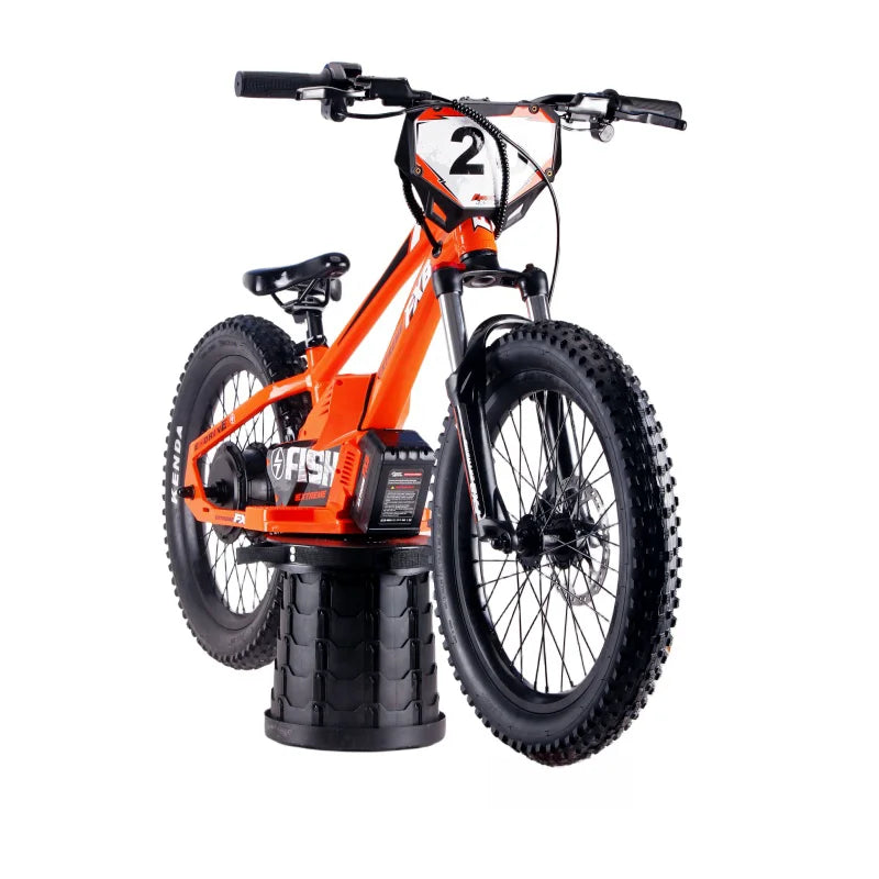 HKM-203731 20-Inch Electric Balance Bike with 36V 400W Motor and Adjustable Seat