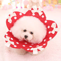 HKM-2044349 Four Seasons Floral Anti-Bite Ring for Dogs ¨C Cute Cotton Toy in Pink, Red, Sky Blue, Strawberry, Sizes XS-XL
