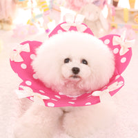 HKM-2044349 Four Seasons Floral Anti-Bite Ring for Dogs ¨C Cute Cotton Toy in Pink, Red, Sky Blue, Strawberry, Sizes XS-XL