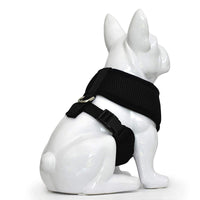 HKM-2047421 Adjustable Small Dog Walking Vest in Blue, Red, Gray - Multiple Sizes Available