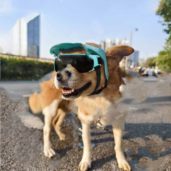 HKM-2058685 Outdoor Sunscreen Pet Sun Hat for All Seasons - Available in Blue, Pink, and Black