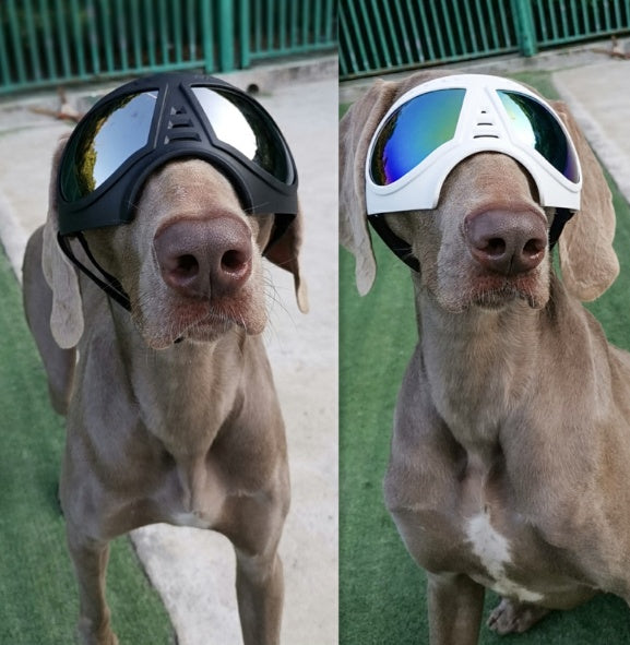 HKM-2061245 Comfortable Waterproof Pet Goggles for Large Dogs ¨C Soft Frame Dog Sunglasses for Eye Protection