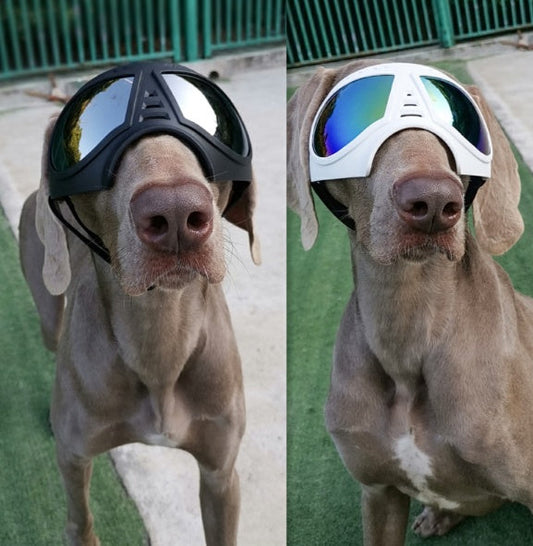 HKM-2061245 Comfortable Waterproof Pet Goggles for Large Dogs ¨C Soft Frame Dog Sunglasses for Eye Protection