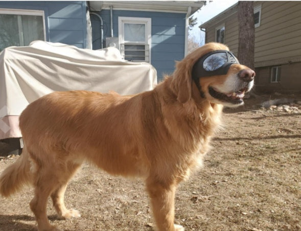 HKM-2061245 Comfortable Waterproof Pet Goggles for Large Dogs ¨C Soft Frame Dog Sunglasses for Eye Protection