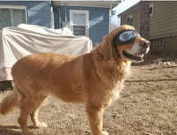 HKM-2061245 Comfortable Waterproof Pet Goggles for Large Dogs ¨C Soft Frame Dog Sunglasses for Eye Protection
