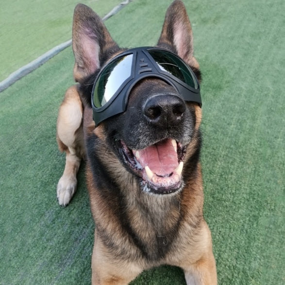 HKM-2061245 Comfortable Waterproof Pet Goggles for Large Dogs ¨C Soft Frame Dog Sunglasses for Eye Protection