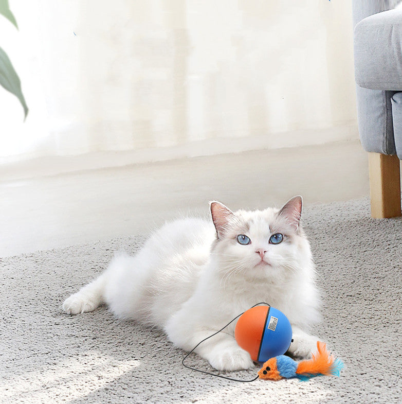 HKM-2062269 Interactive Cat Toy Ball for Intelligent Play and Dental Care - 84.5mm, Plastic, 120g