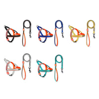 HKM-2063421 LED Nylon Dog Leash for Medium-Sized Pets - Vibrant Color Design
