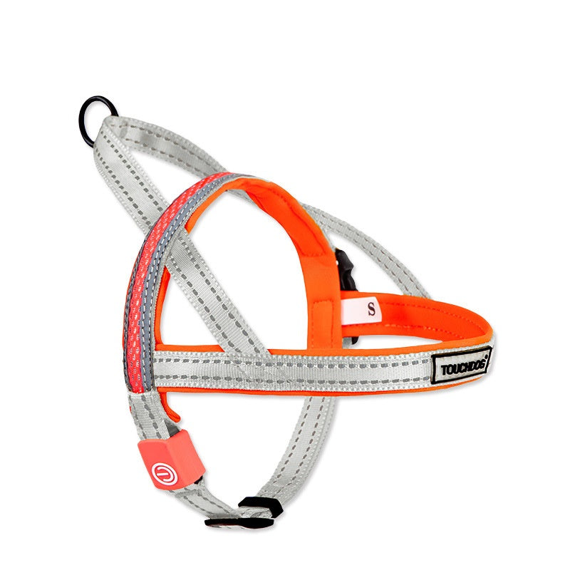 HKM-2063421 LED Nylon Dog Leash for Medium-Sized Pets - Vibrant Color Design