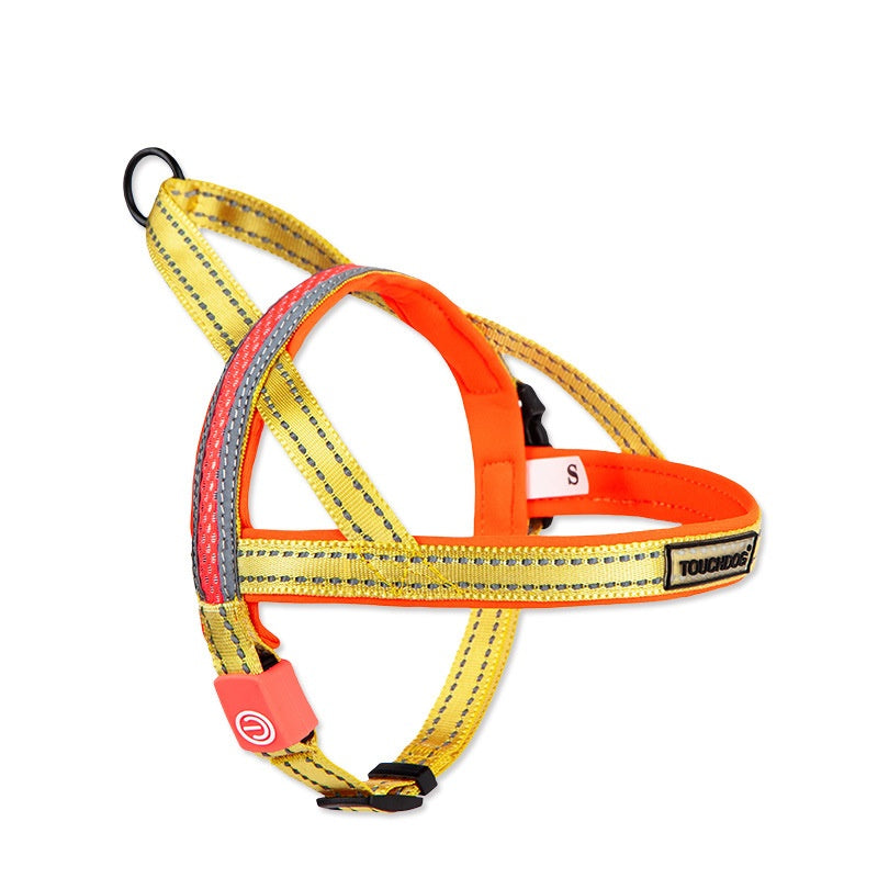 HKM-2063421 LED Nylon Dog Leash for Medium-Sized Pets - Vibrant Color Design