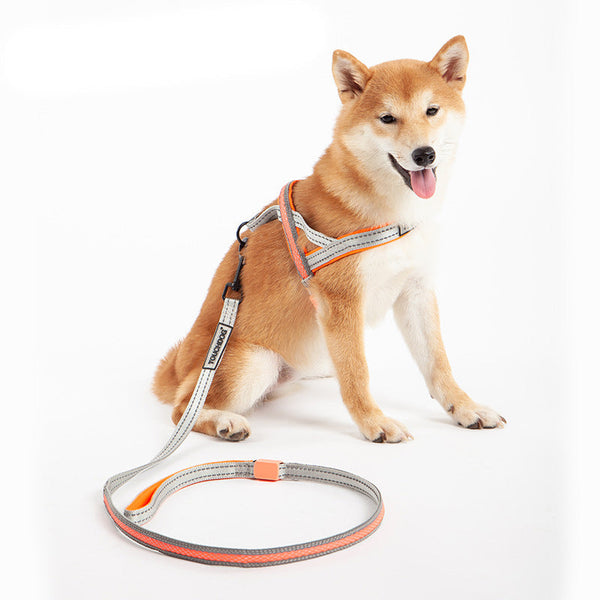 HKM-2063421 LED Nylon Dog Leash for Medium-Sized Pets - Vibrant Color Design