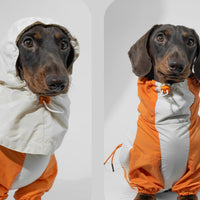 HKM-2067005 Pet Winter Sports Raincoat - Casual Color Matching Clothing for Pets