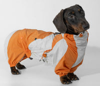 HKM-2067005 Pet Winter Sports Raincoat - Casual Color Matching Clothing for Pets