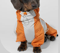 HKM-2067005 Pet Winter Sports Raincoat - Casual Color Matching Clothing for Pets