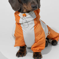 HKM-2067005 Pet Winter Sports Raincoat - Casual Color Matching Clothing for Pets